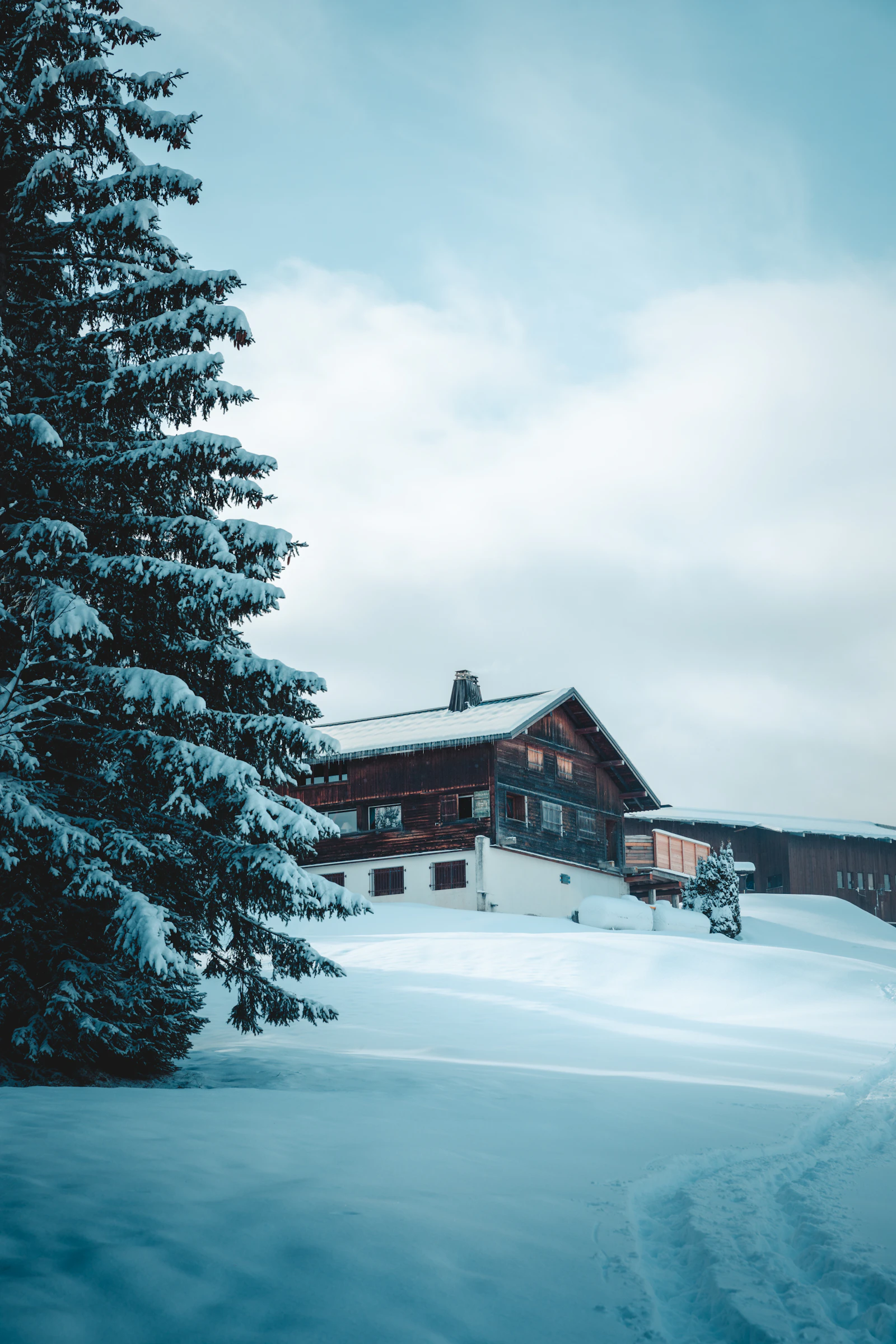 Architecture alpine contemporaine